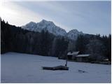 Kranjska Gora - Zelenci